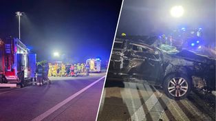 Była 21:13. Samochód zderzył się z łosiem na A2