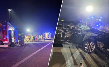 Była 21:13. Samochód zderzył się z łosiem na A2