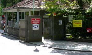 To miał być rutynowy zabieg. Potem walczyli o życie Kingi