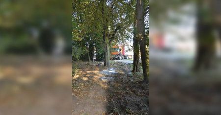 Ryki: Stracił panowanie nad pojazdem. Wjechał tirem do parku