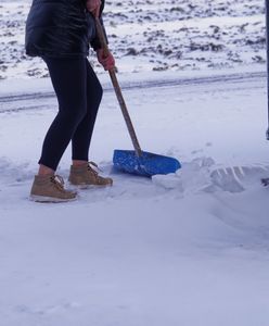 Szukają ludzi do pracy. Płacą 60 zł za godzinę. Chętnych brak