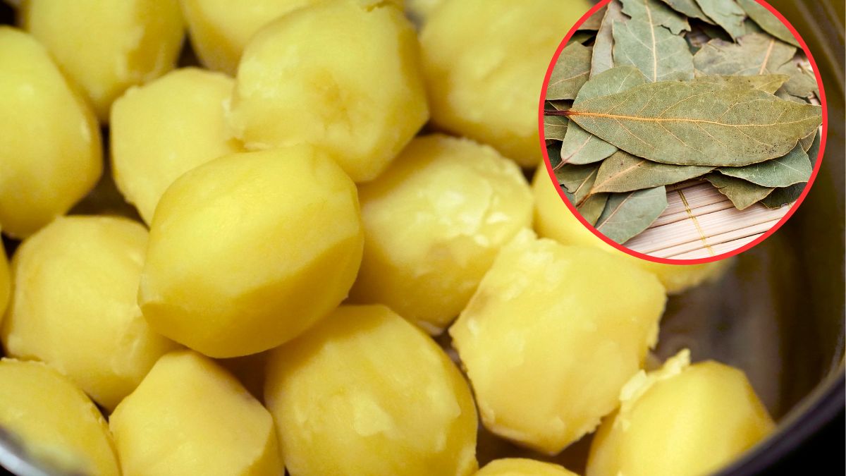 Najlepsze ziemniaki bez soli? Owszem, to możliwe