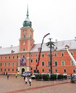 Головна новорічна ялинка Варшави встановлена на Замковій площі