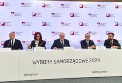 Seria przestępstw i incydentów. PKW mówi, co się wydarzyło