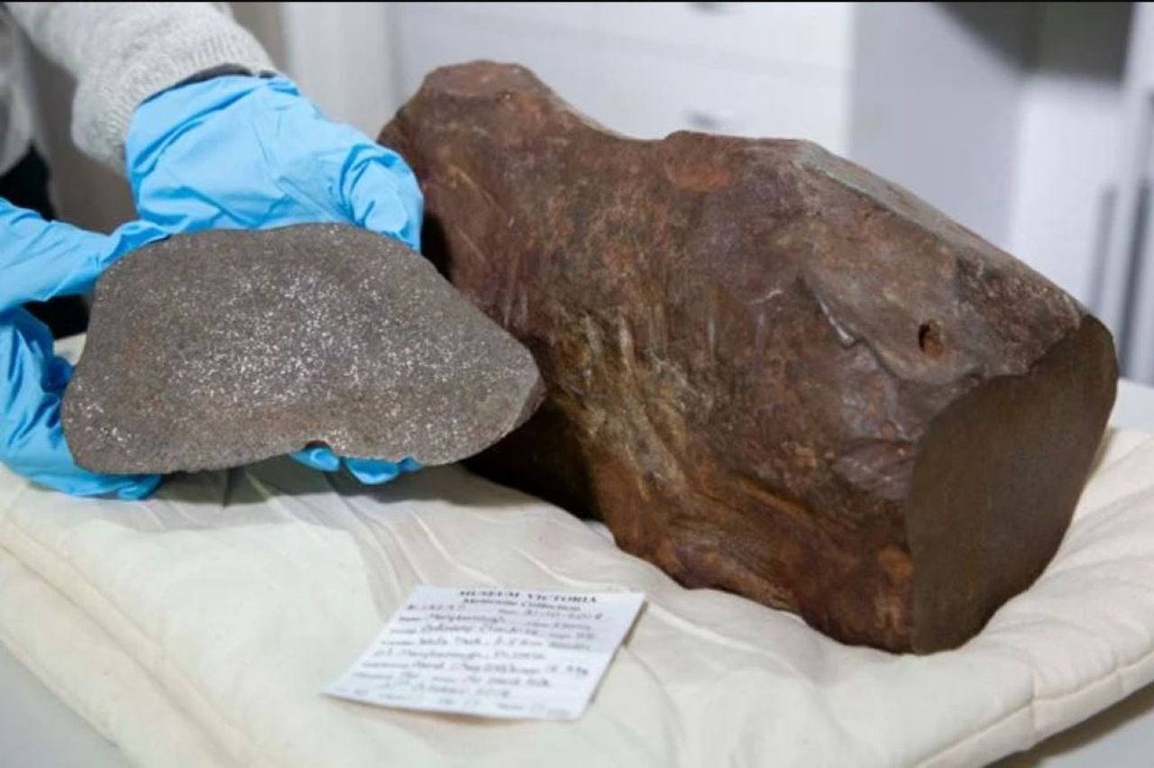 A precious find: Australian man's 'gold' rock is an ancient meteorite