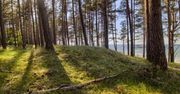 Urlop w Krynicy Morskiej. Ten hotel to znacznie więcej niż nocleg przy plaży