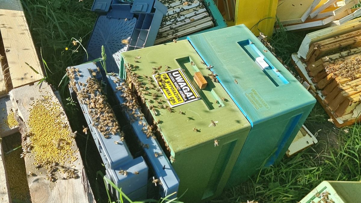 Pasieka "Warmińska Pszczoła" padła ofiarą wandalizmu