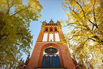 Pogoda w Olsztynie. Prognoza na poniedziałek 3 listopada