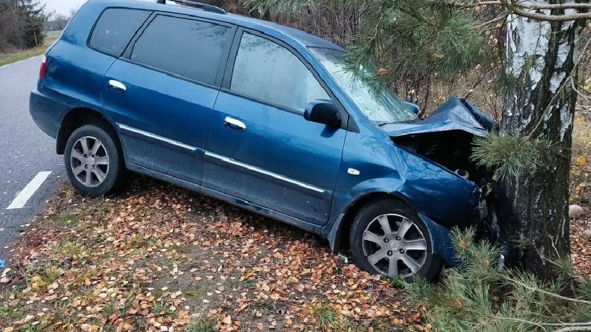 KIA uderzyła w drzewo