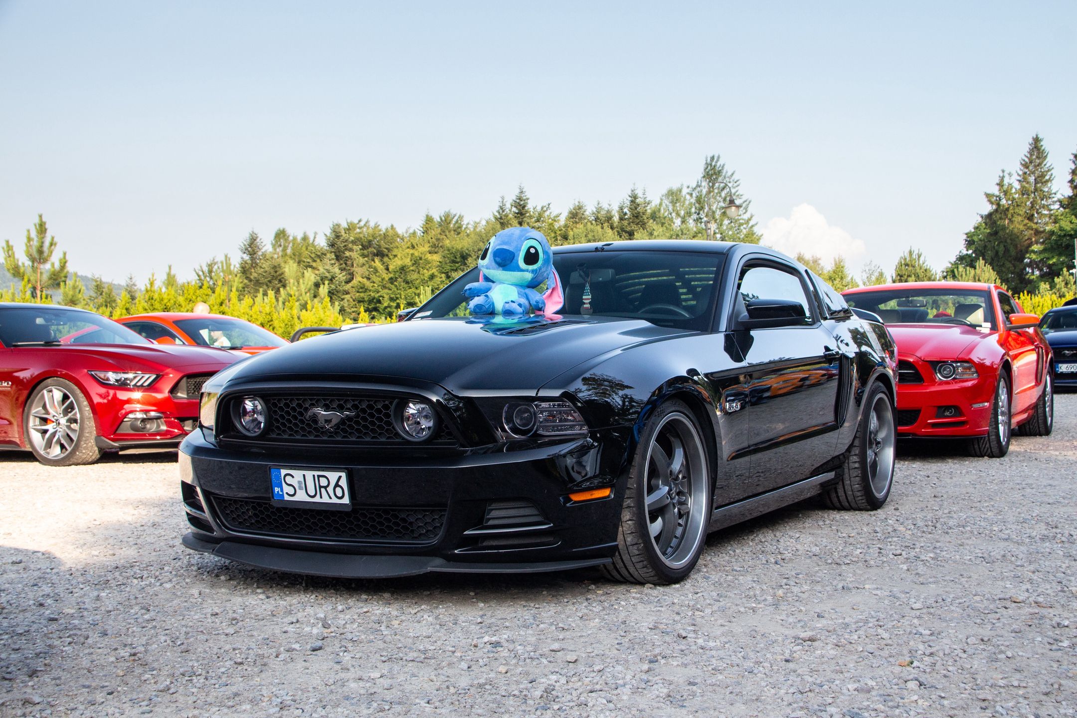 Małopolski & Śląski Zlot Mustangów 2024