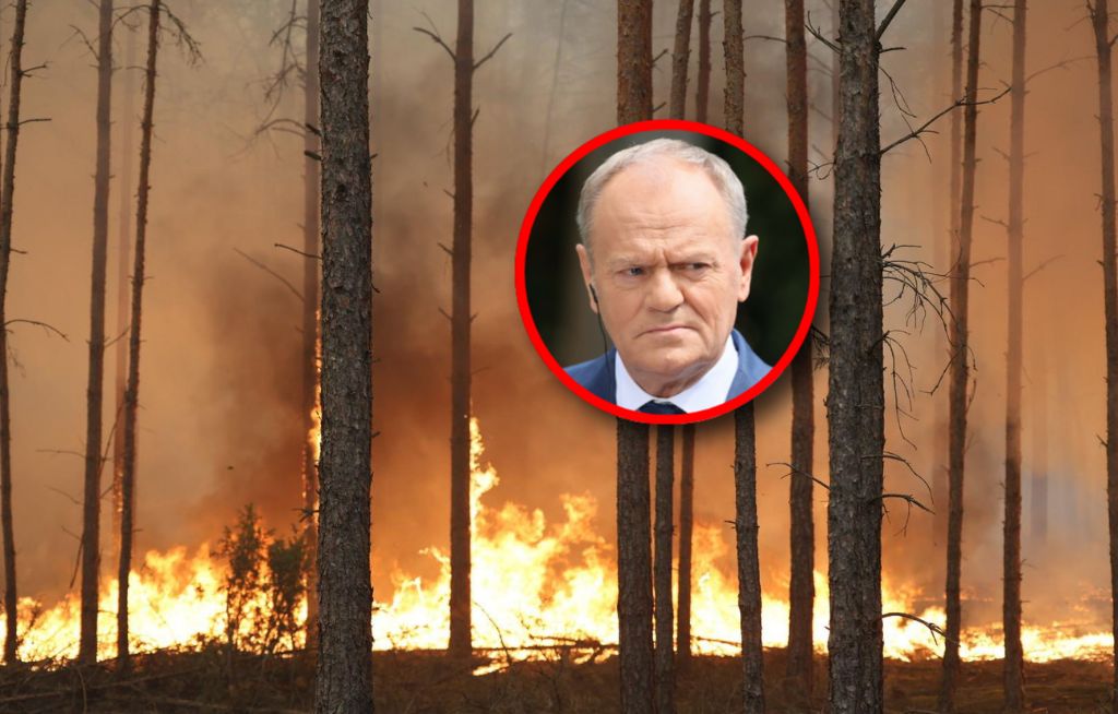Ogromny pożar lasu. Premier zabrał głos
