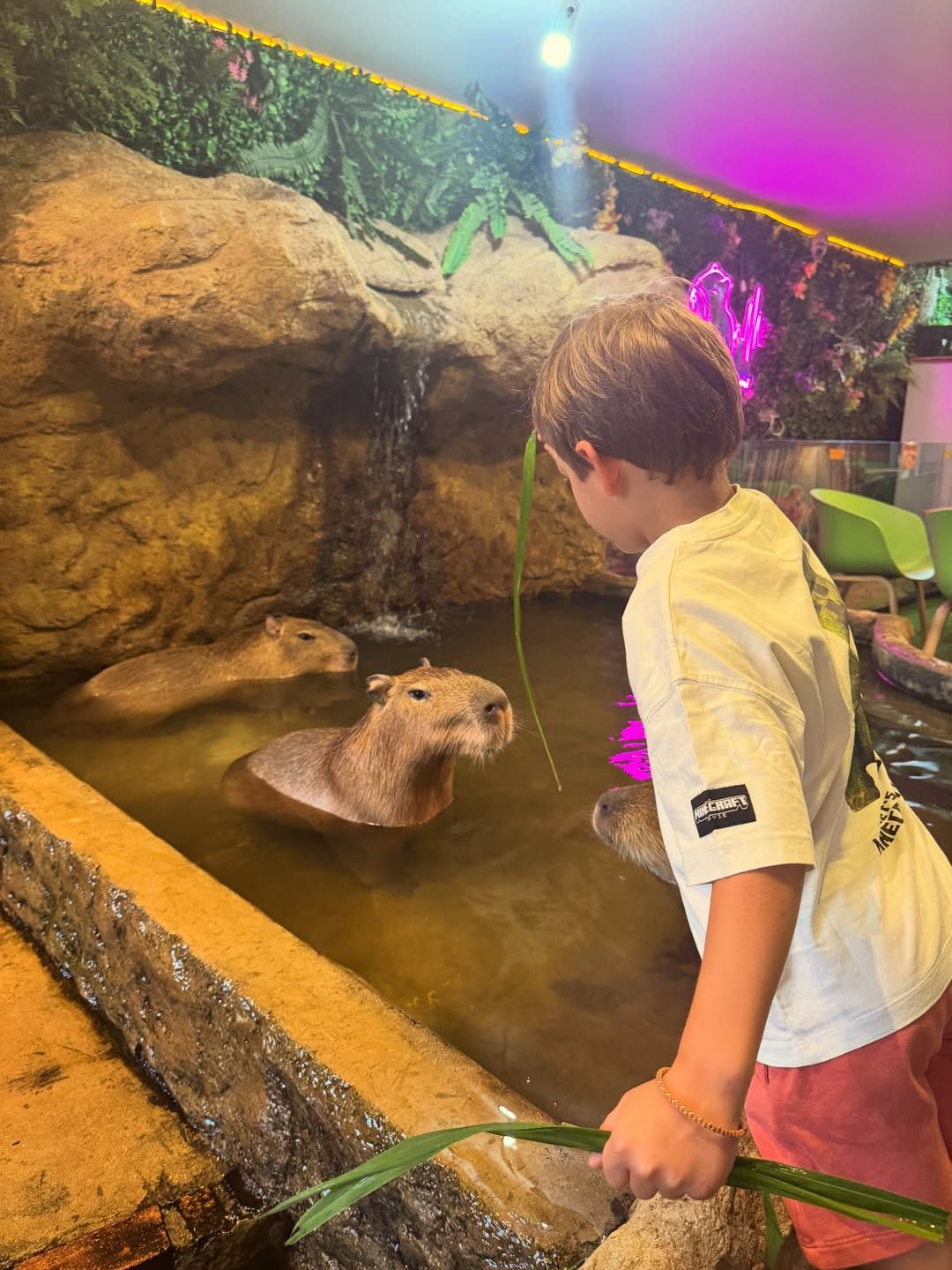 Rodzinne wakacje Olgi Kalickiej