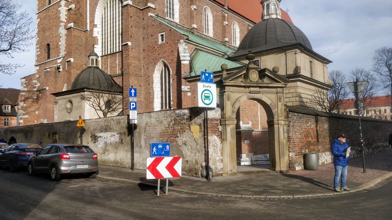 Jedną z pierwszych stref stworzył Kraków. Teraz powstanie ich aż 38 w całym kraju