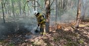 Pożar w Kampinoskim Parku Narodowym. Wiceminister apeluje