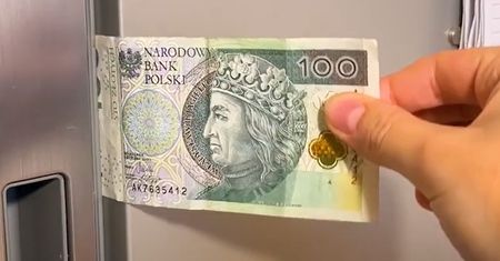 Weź banknot i podejdź do lodówki. Tak możesz oszczędzić na rachunkach