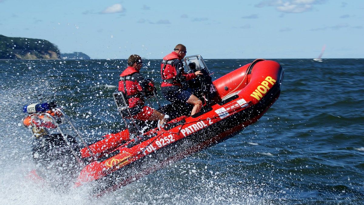 Po to dzwonią do ratowników WOPR. "Popłynęli łapać delfiny"
