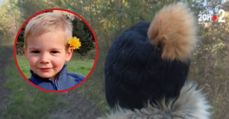 Znalazła szczątki 2,5-latka. Opowiedziała, co stało się później
