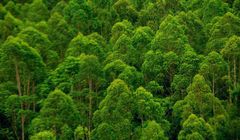 Polacy są zagubieni w kwestii zmian klimatu