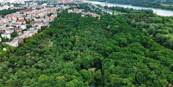 Park na Bydgoskim Przedmieściu przejdzie metamorfozę. Mieszkańcy mają mieszane odczucia