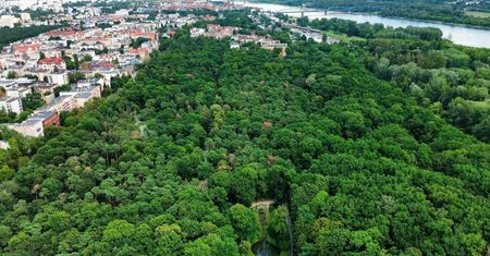 Park na Bydgoskim Przedmieściu przejdzie metamorfozę. Mieszkańcy mają mieszane odczucia