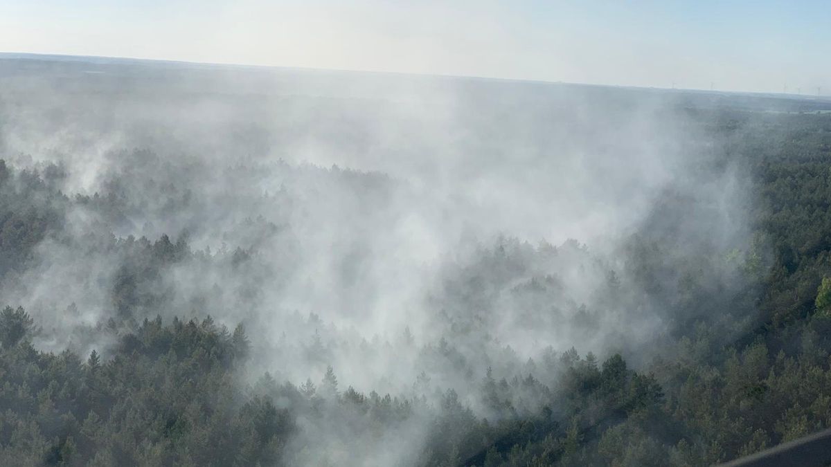 Pożar strawił 10 ha lasu