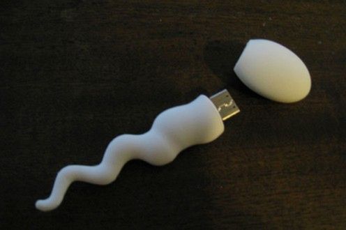 Pendrive plemnikokształtny 1