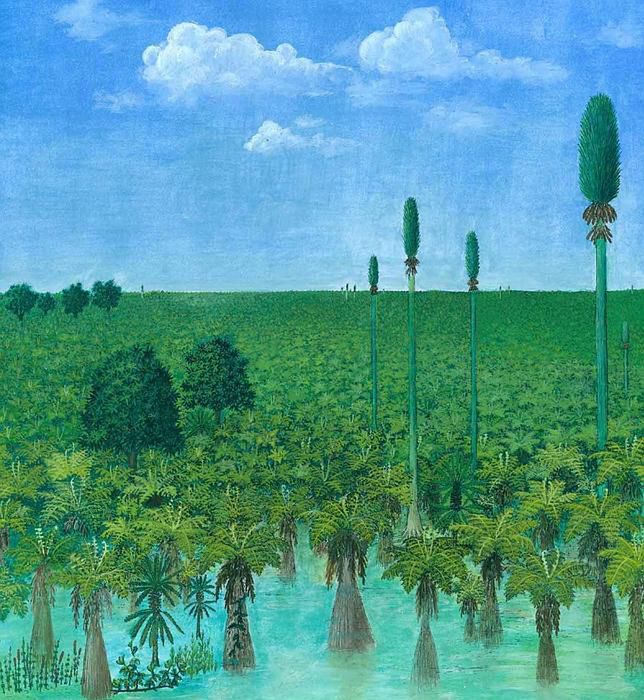 Archeolodzy odkryli w Chinach nienaruszony las sprzed 298 milionów lat 2