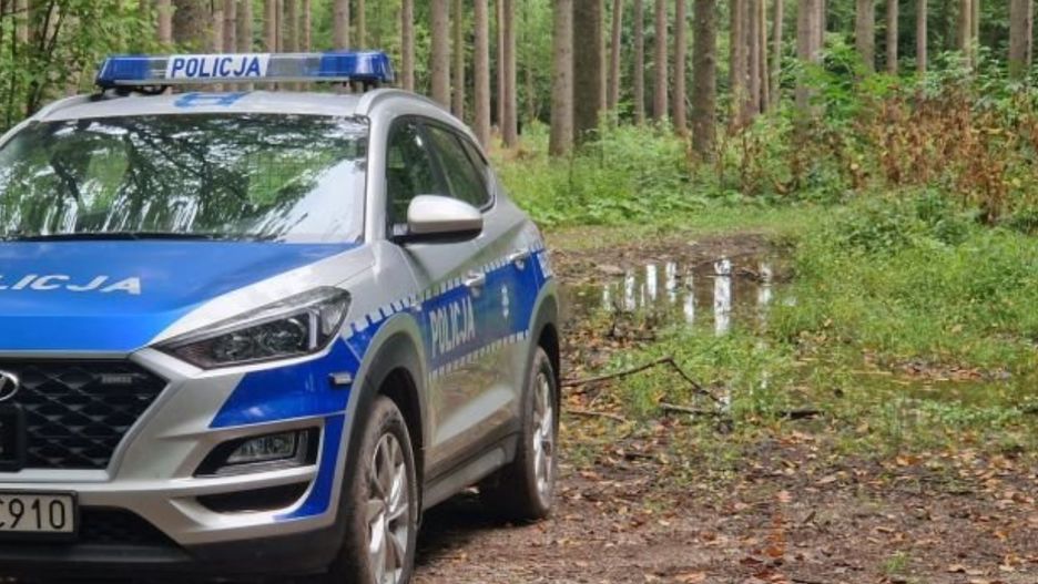 Tragiczny finał wyjścia do lasu, zmarła 78-latka