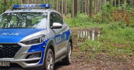 Śmierć na grzybobraniu. Tragiczny finał wycieczki