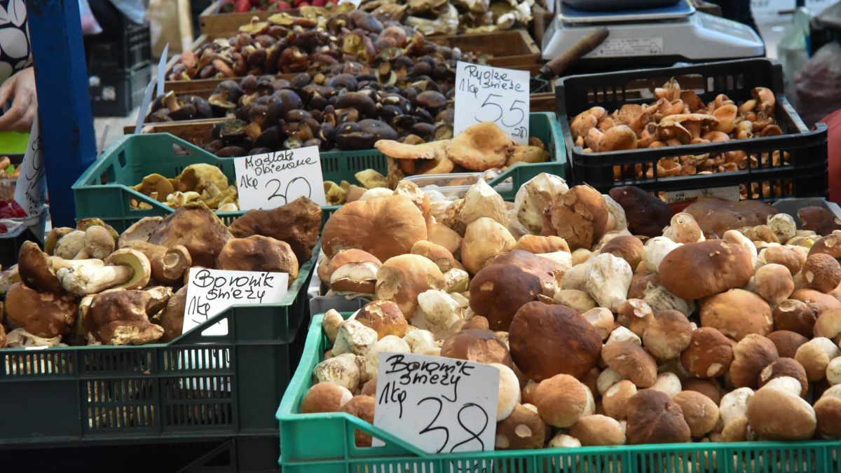 Stary Kleparz w Krakowie; ZDJ. ARCHIWALNE