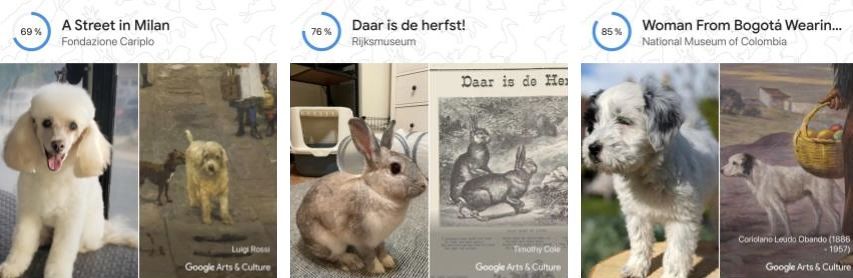 Google powie ci, czy twojego zwierzaka namalował van Gogh 2
