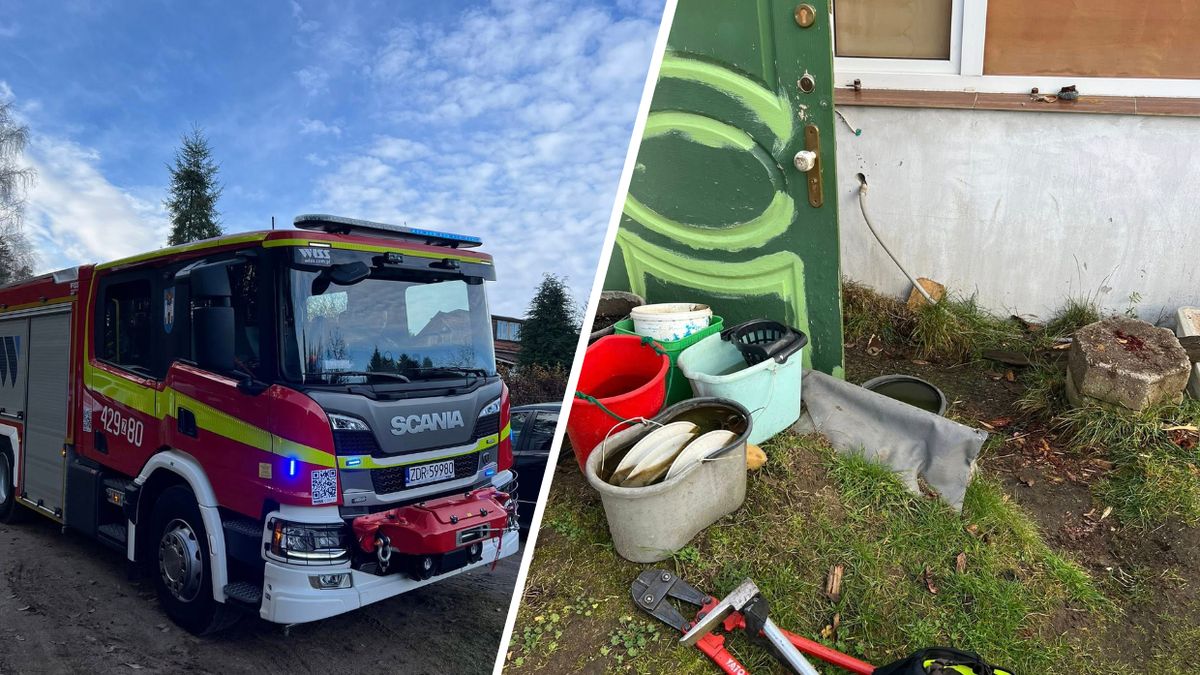 Makabryczne odkrycie na działkach