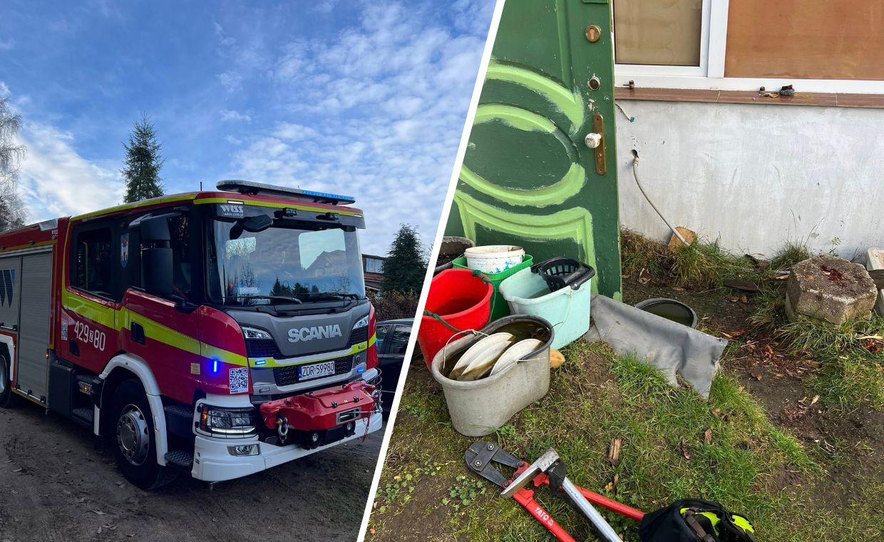 Makabryczne odkrycie w Złocieńcu. Zwłoki w altanie