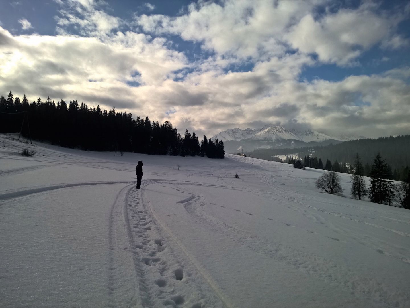 Lumia 930 - test fotograficzny 16