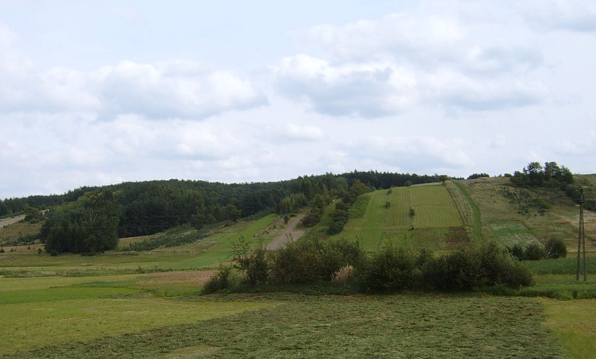 Roztocze Środkowe; okolice wsi Jacnia