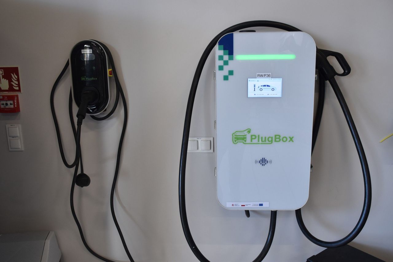 Nie ma dotacji, nie ma sprzedaży elektryków. W tym roku rynek odnotuje gorsze wyniki