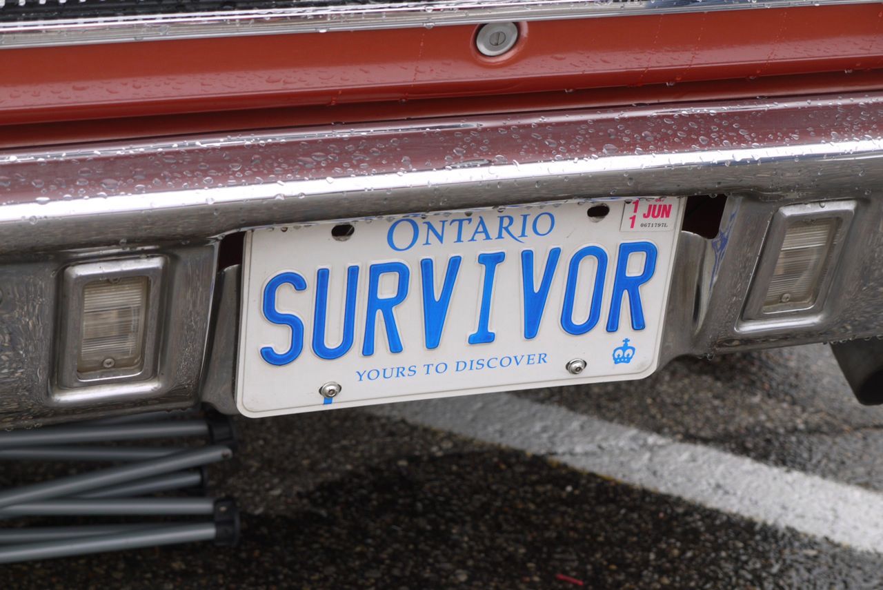 licenseplateswdc10-14