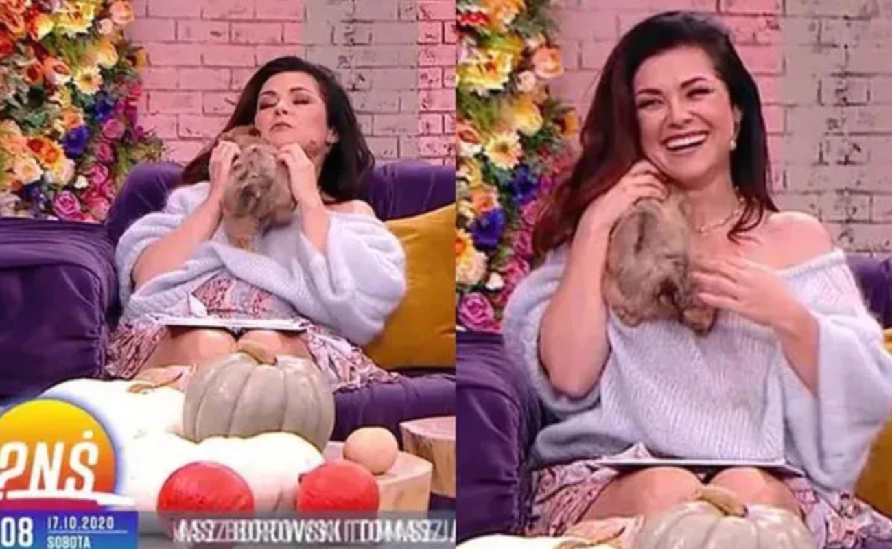 Kasia Cichopek obsikana przez psa na wizji
