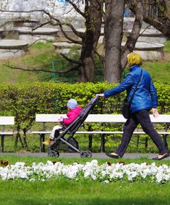 1500 zł miesięcznie. Wiadomo, co będzie z obietnicą Tuska