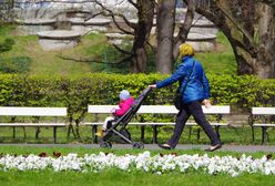 1500 zł miesięcznie. Wiadomo, co będzie z obietnicą Tuska