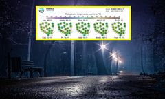 Kiepska prognoza pogody na długi weekend. Mgły i deszcz