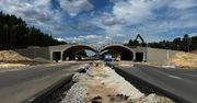 Kluczowa branża w niebezpiecznym klinczu. Cierpią wszyscy. Ale jest światełko w tunelu