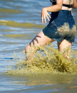 Sinice w natarciu. Czerwona flaga i woda o konsystencji zupy