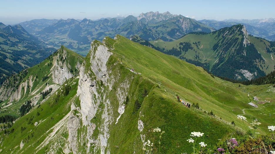 Bolesławiec. Niesamowity wyczyn Dolnoślązaków. Przebiegli 314 kilometrów morderczą trasą po szwajcarskich Alpach