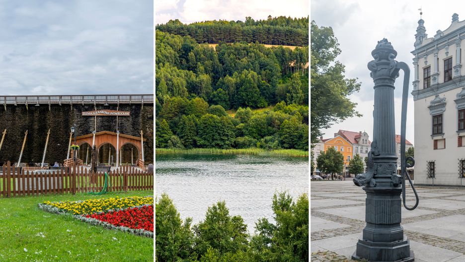 Jak głosowali mieszkańcy Inowrocławia, Brodnicy i Chełmna?