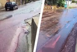 Rzeka czerwonego wina na ulicy w Portugalii. Świadek chwycił za telefon
