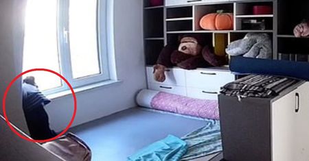 Pies sam w domu. Nagrała go kamera. Internauci nie kryli łez