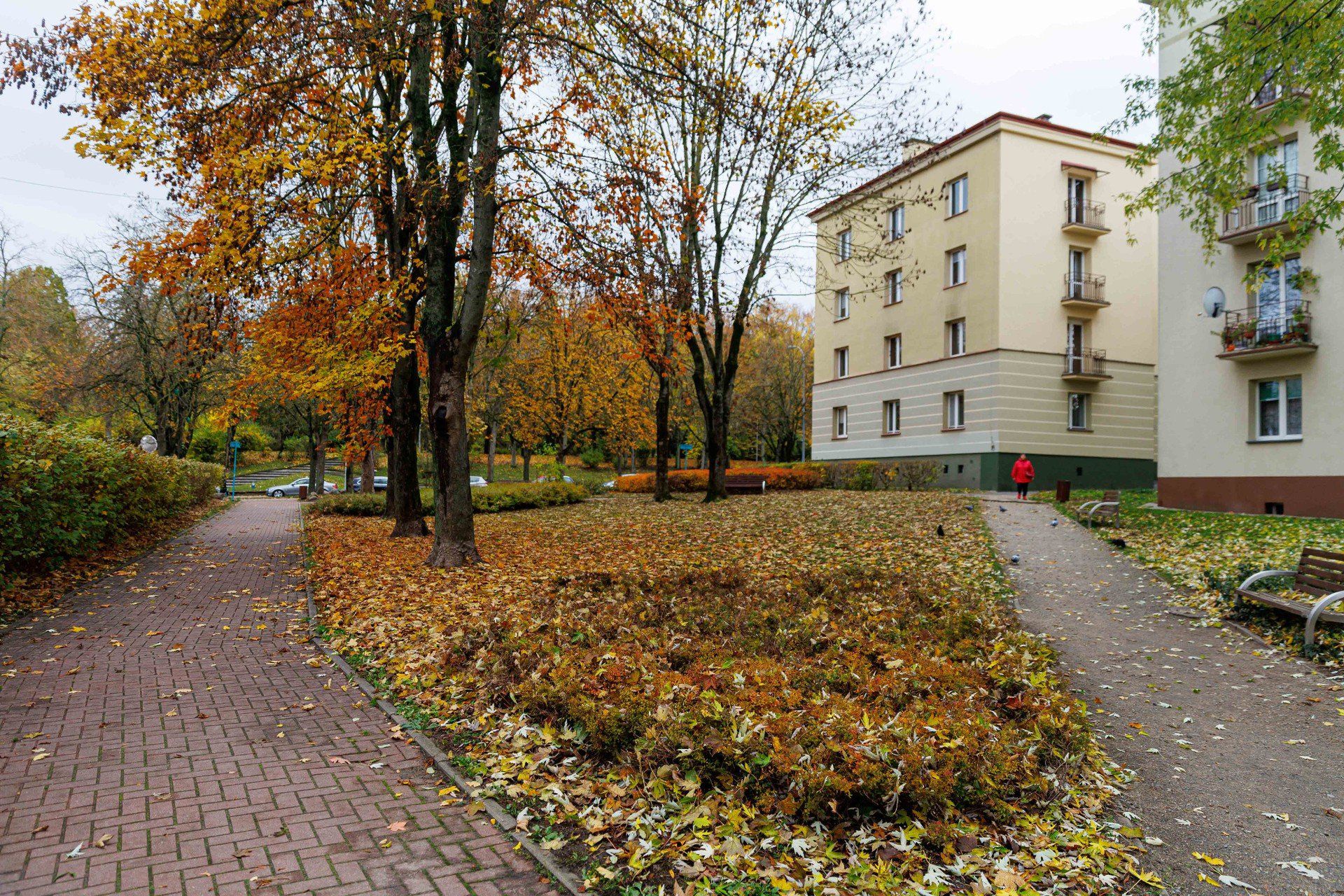 Skwer Anny Markowej piękny za dnia, wieczorami tonie w ciemnościach