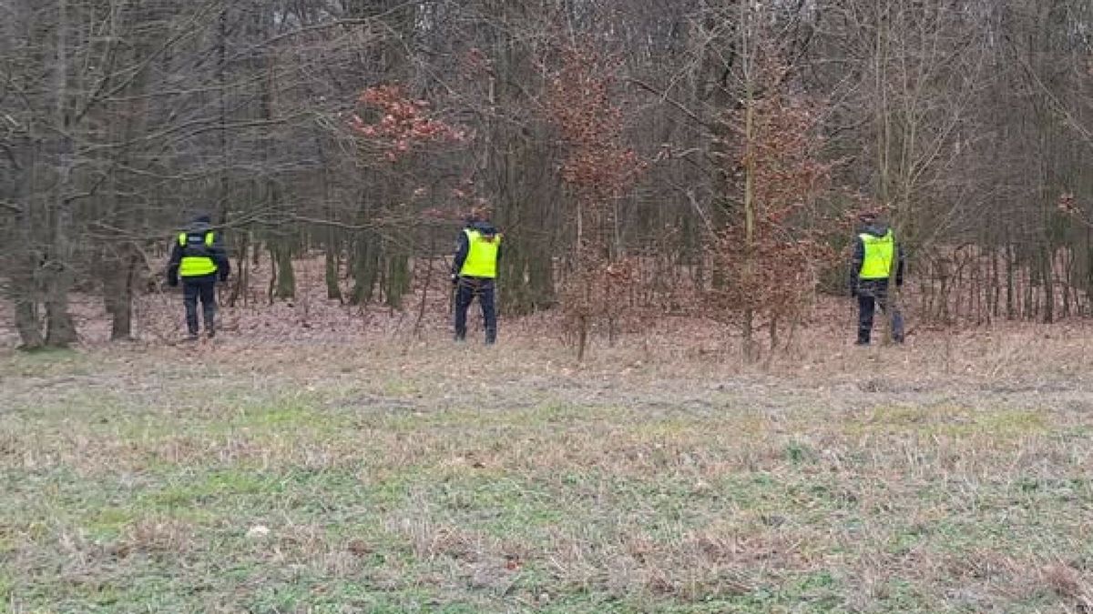 Zdjęcie poglądowe.