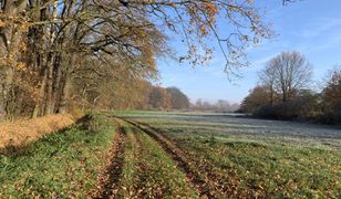 Wrocław. Pogoda. 8 grudnia - ostatni dzień z wyższą temperaturą. Od środy mróz